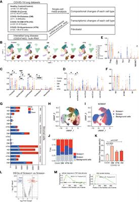 Single-cell RNA sequencing analysis of lung cells in COVID-19 patients with diabetes, hypertension, and comorbid diabetes-hypertension